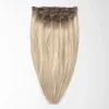 Clip on - Beige Blonde Mix Root 5B+16B/60B