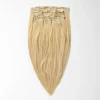 Clip on - Honey Blonde 15A