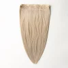 Halo extensions - Beige Blonde 16B