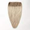 Halo extensions - Beige Blonde Mix Root 5B+16B/60B