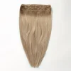 Halo extensions - Beige Blonde Root 5B+16B