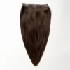 Halo extensions - Chocolate Brown 2