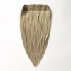 Halo extensions - Dark Ash Blonde 14B